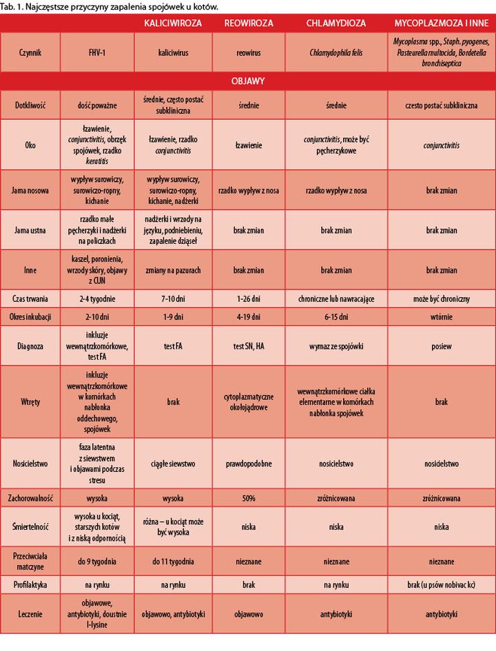Antybiotyki na zapalenie spojówek u dzieci