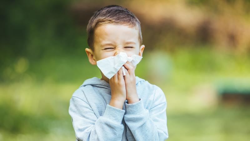 Etapy procesu odczulania