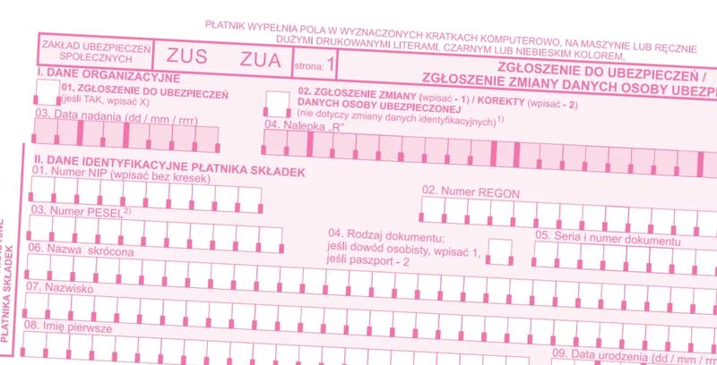 Prawa i obowiązki ciężarnych na L4