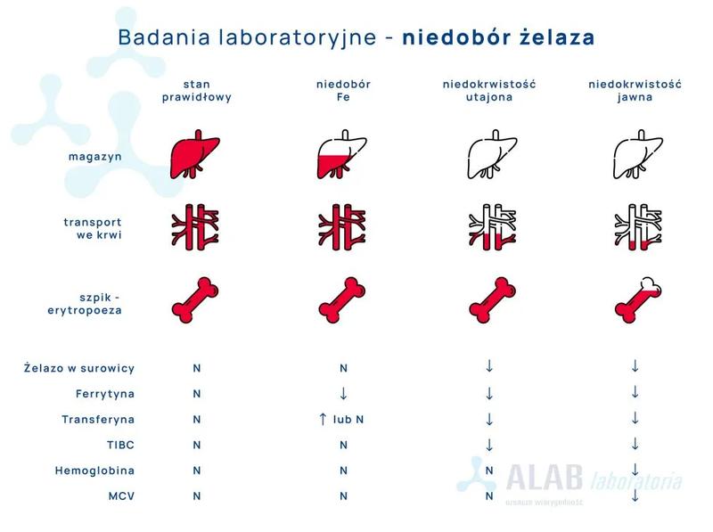 Suplementacja żelaza po porodzie