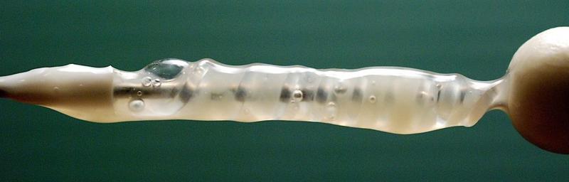 Czym jest śluz jak białko kurze w kontekście ciąży?