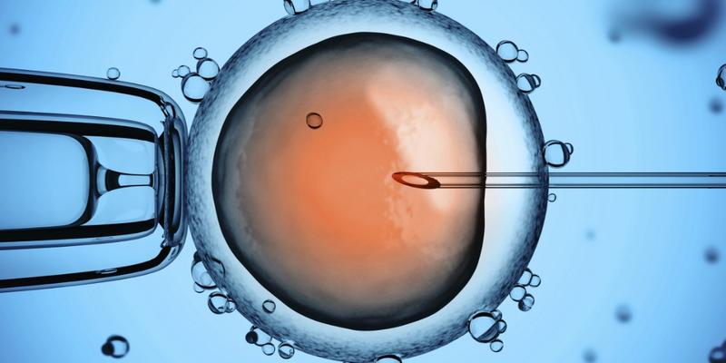 Obliczanie terminu ciąży po in vitro