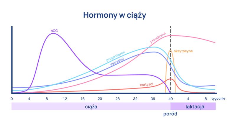 Stabilizacja hormonów po porodzie