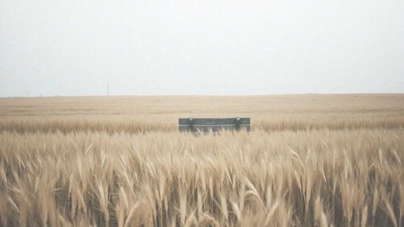 Zdrowie reprodukcyjne kobiet