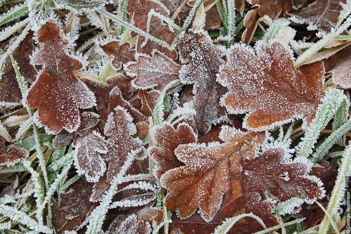 Zimowe zjawiska przyrody