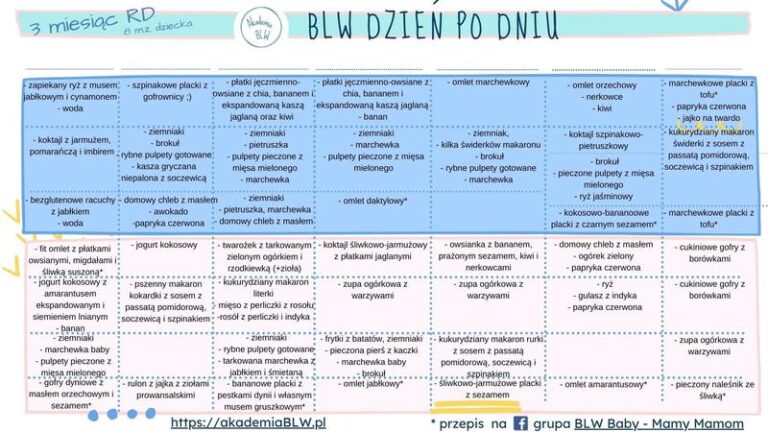 Jak ułożyć idealny jadłospis dla 6-miesięcznego niemowlaka karmionego piersią?