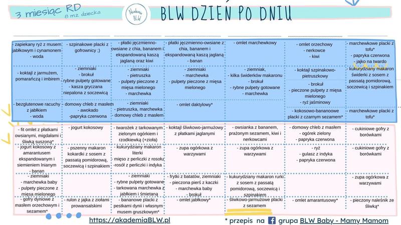 Jak ułożyć idealny jadłospis dla 6-miesięcznego niemowlaka karmionego piersią?