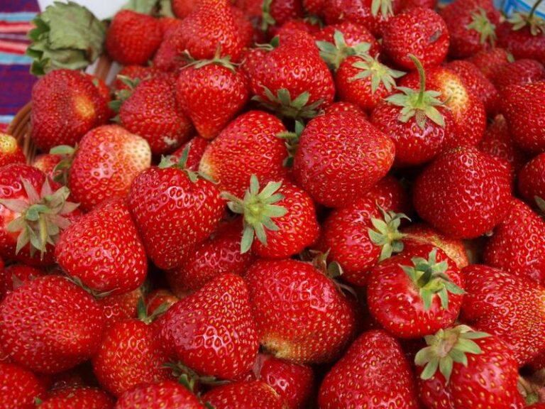 Truskawki a karmienie piersią – co warto wiedzieć?