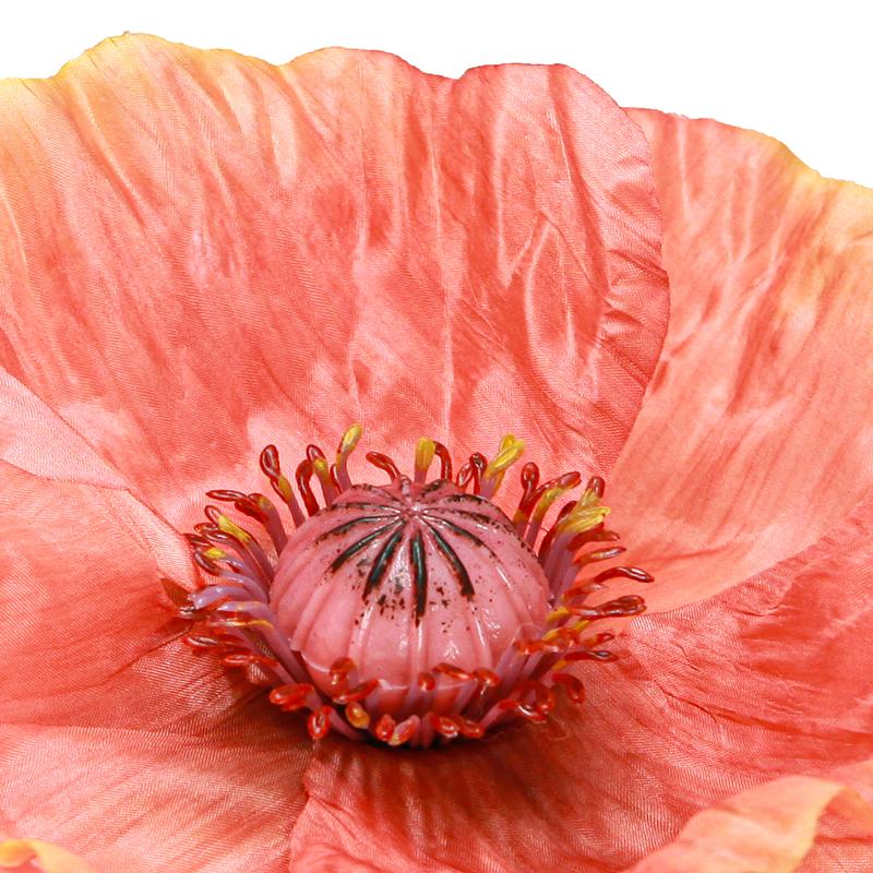 Alergia na mak u niemowląt