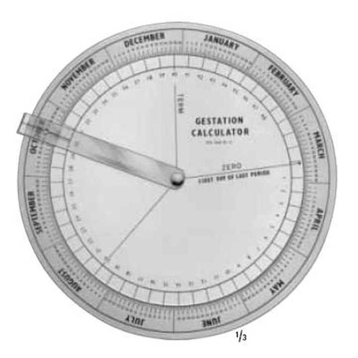 Kalkulator ciąży online