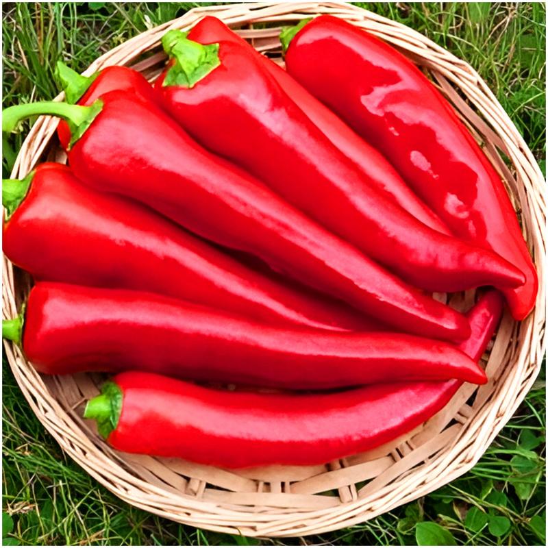 Objawy alergii na paprykę u dzieci