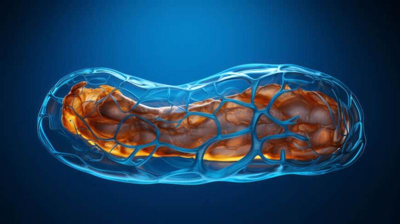 Powrót do formy po porodzie