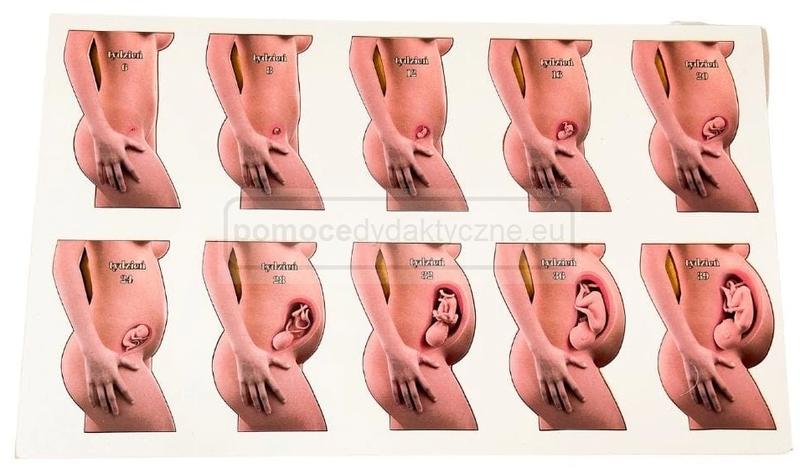 Wczesne objawy ciąży i ból brzucha