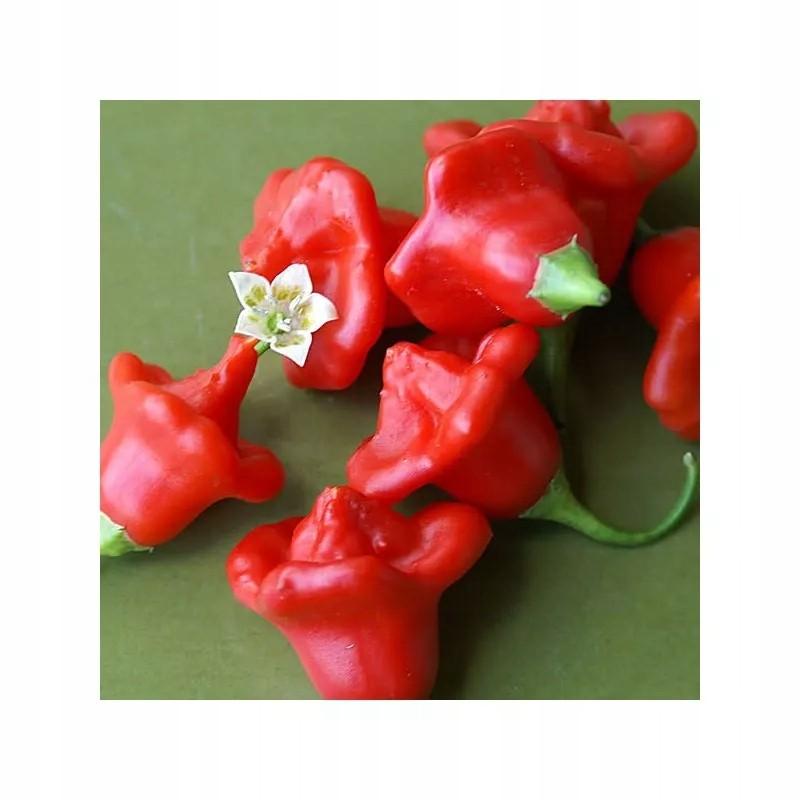 Wprowadzanie papryki do diety niemowląt