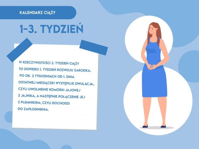 Ciąża w 3 tygodniu – co warto wiedzieć o rozwoju maluszka?