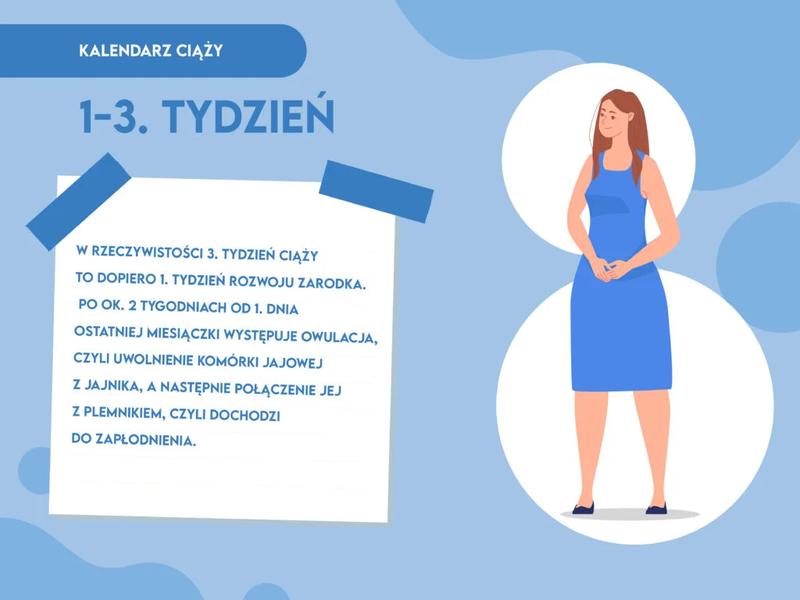 Ciąża w 3 tygodniu - co warto wiedzieć o rozwoju maluszka?