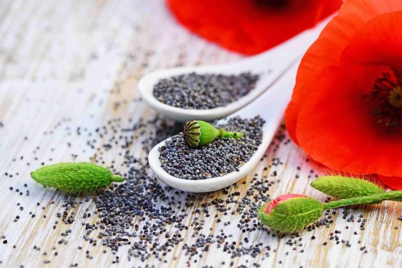 Czy mak może powodować alergie u niemowlaka? Sprawdź, co powinieneś wiedzieć!