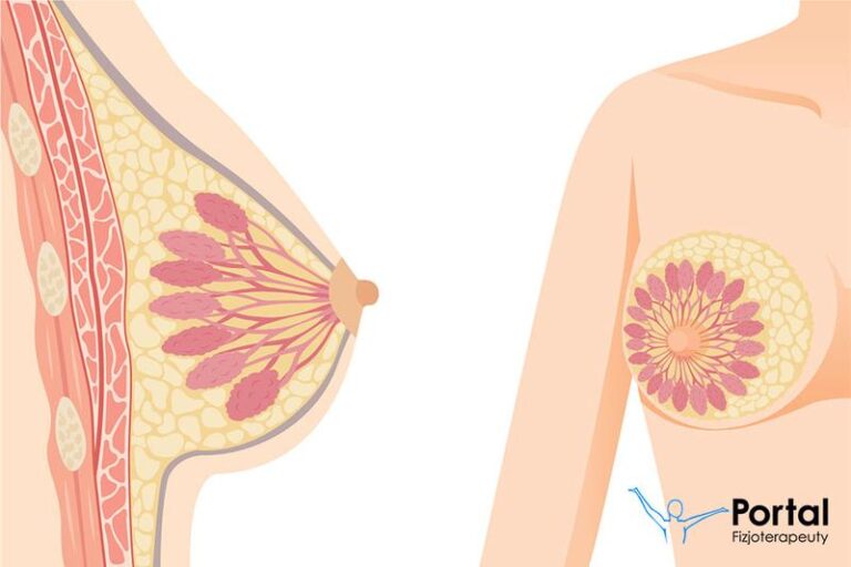 Jak skutecznie zwiększyć ilość pokarmu po porodzie? Sprawdzone sposoby dla mam