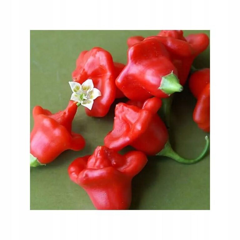 Papryka a uczulenia u niemowląt – co każdy rodzic powinien wiedzieć?