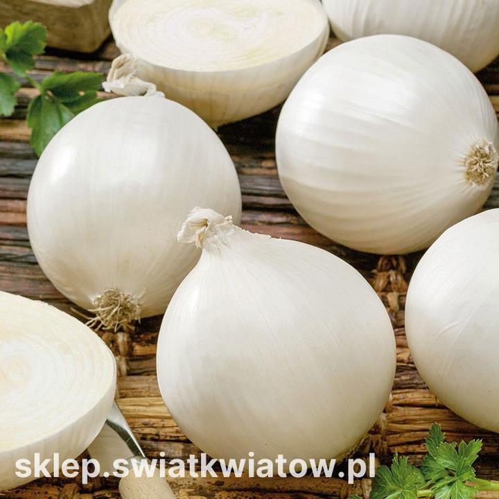 Bezpieczne przepisy dla karmiących