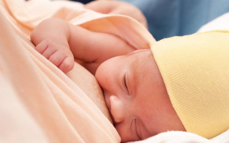 Fizjologia produkcji mleka