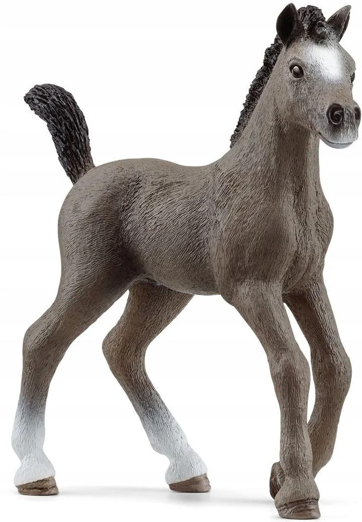 Opieka nad źrebakiem po porodzie