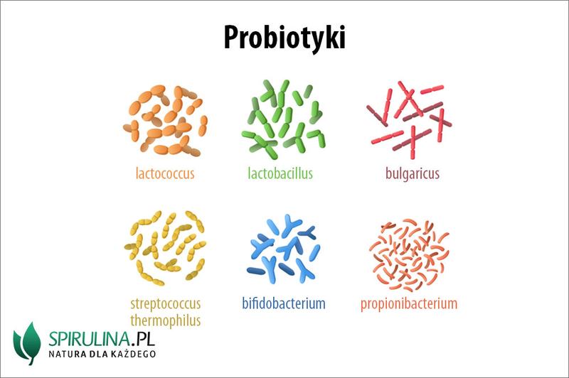 Probiotyki a odporność dziecka