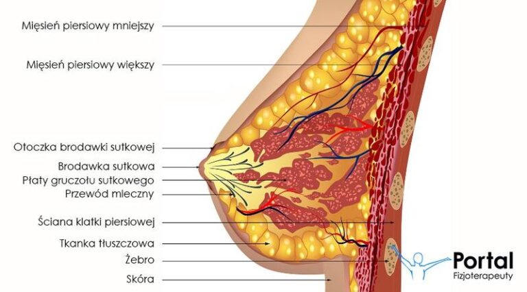 Mleko w piersiach cztery lata po porodzie – co warto wiedzieć?