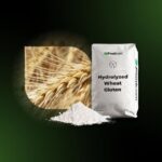 Wpływ ekspozycji na gluten podczas karmienia piersią na zdrowie dziecka