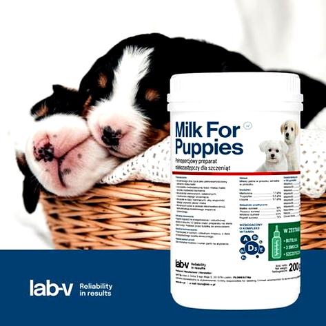 Siara i jej znaczenie