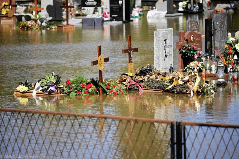 Wizyty dzieci na cmentarzu