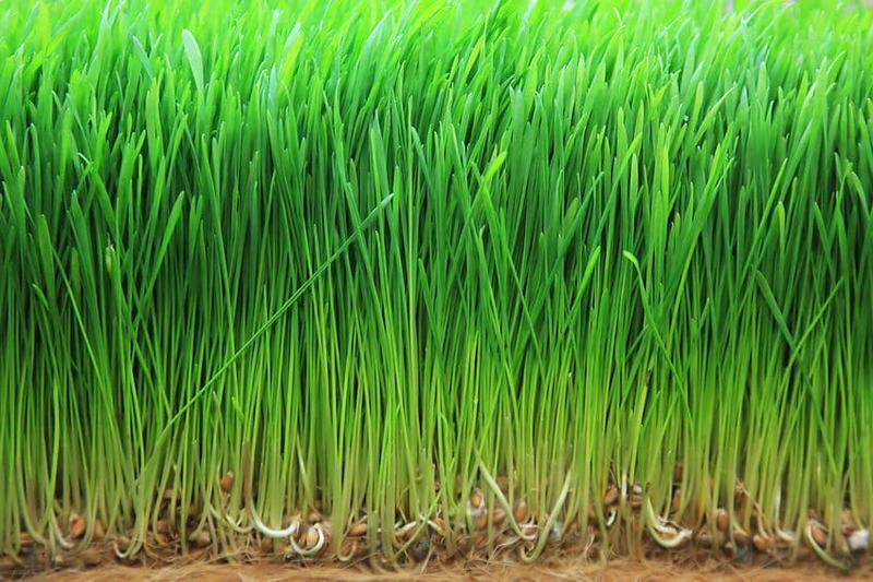 Zdrowe odżywianie mam karmiących