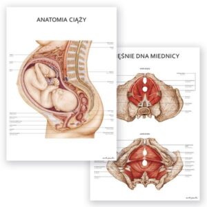 Czy jesteś w ciąży? Sprawdź w naszym quizie!