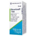 Jak skutecznie stosować dicortineff u dzieci? Praktyczne wskazówki dla rodziców.